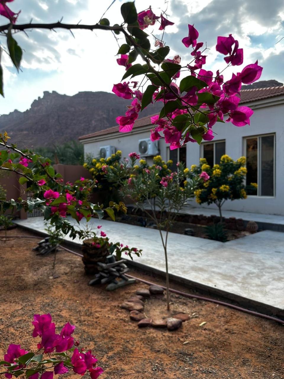 فيلا بمزرعة Al-ʿUla Exterior foto